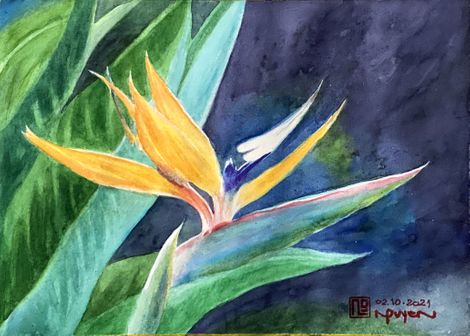 STRELITZIA FLOWER