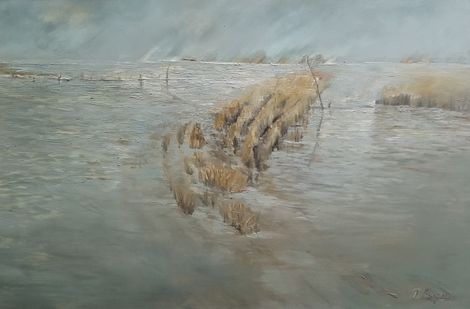 Mùa nước